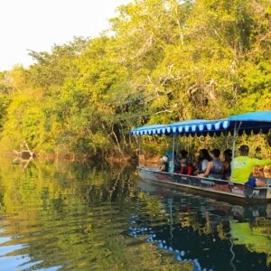 Eco Park Porto da Ilha- Barco Elétrico