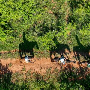 Parque Ecológico Rio Formoso- Cavalgada
