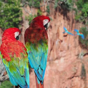 Buraco das Araras- (Comtemplação+ Balneário jardim Ecopark)