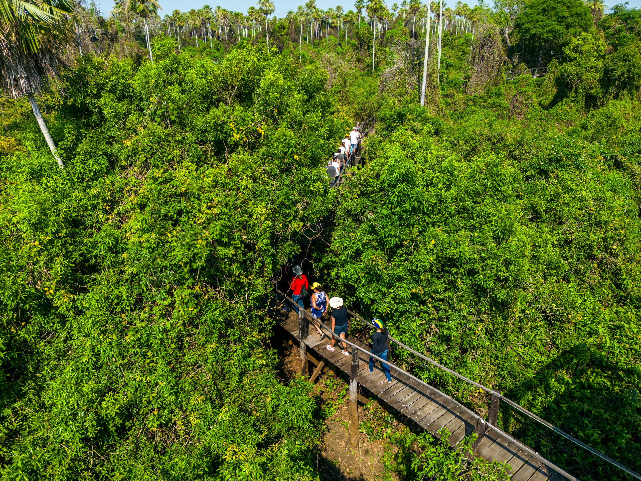 DJI_0970 (1)