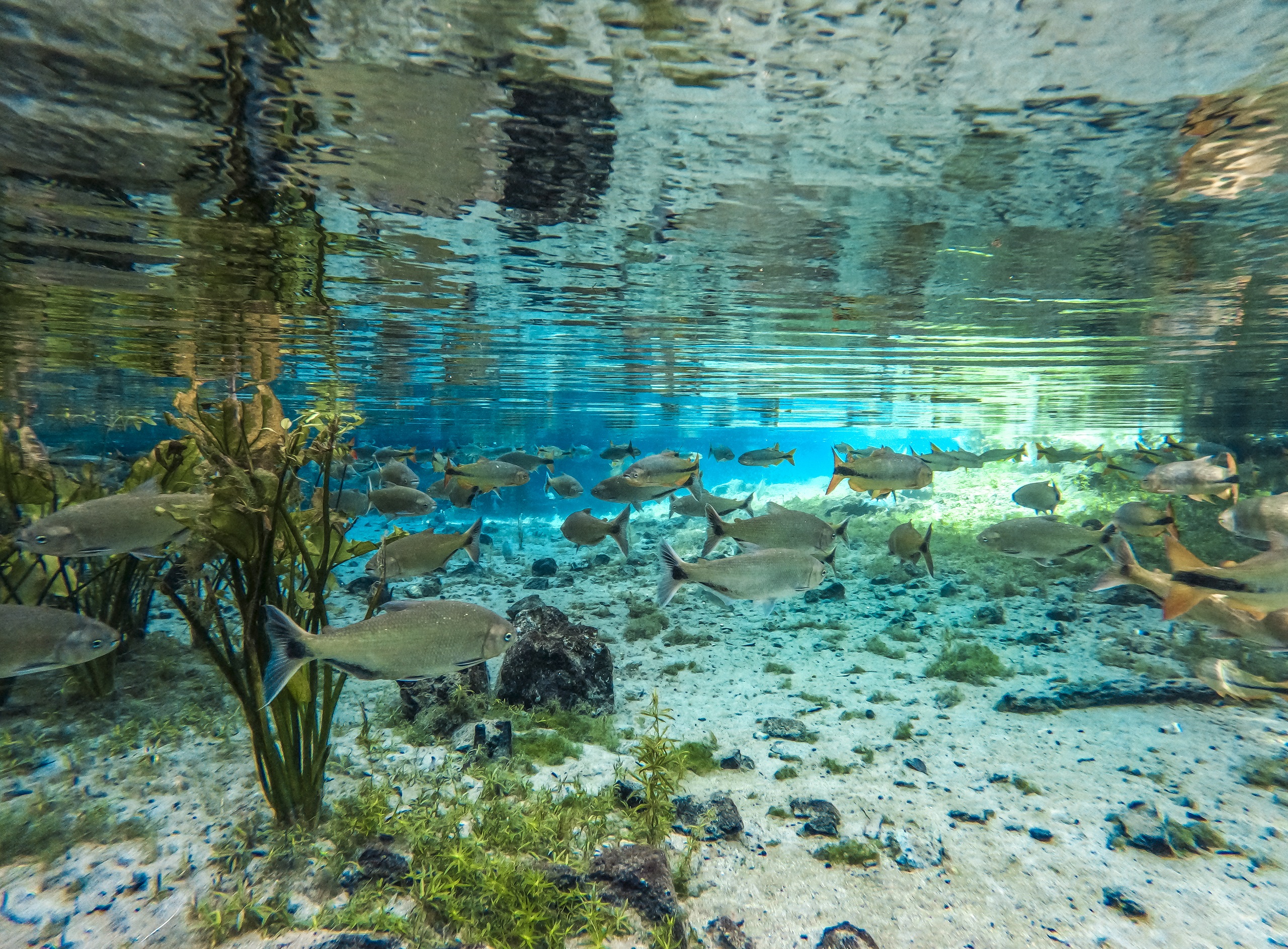 DCIM100GOPROGOPR2547.JPG