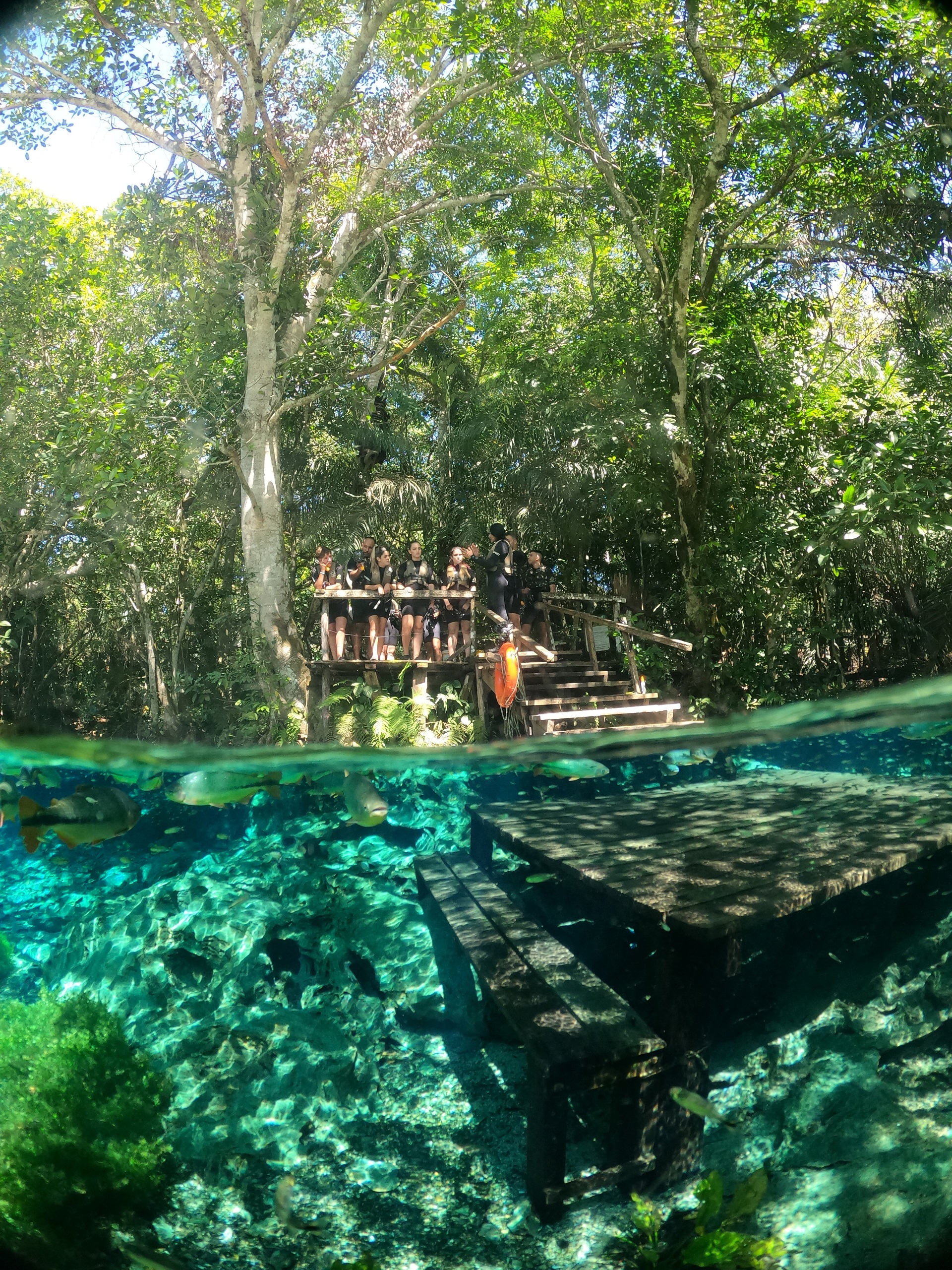 DCIM100GOPROGOPR8411.JPG