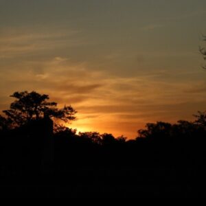Bosque das Águas- Balneário