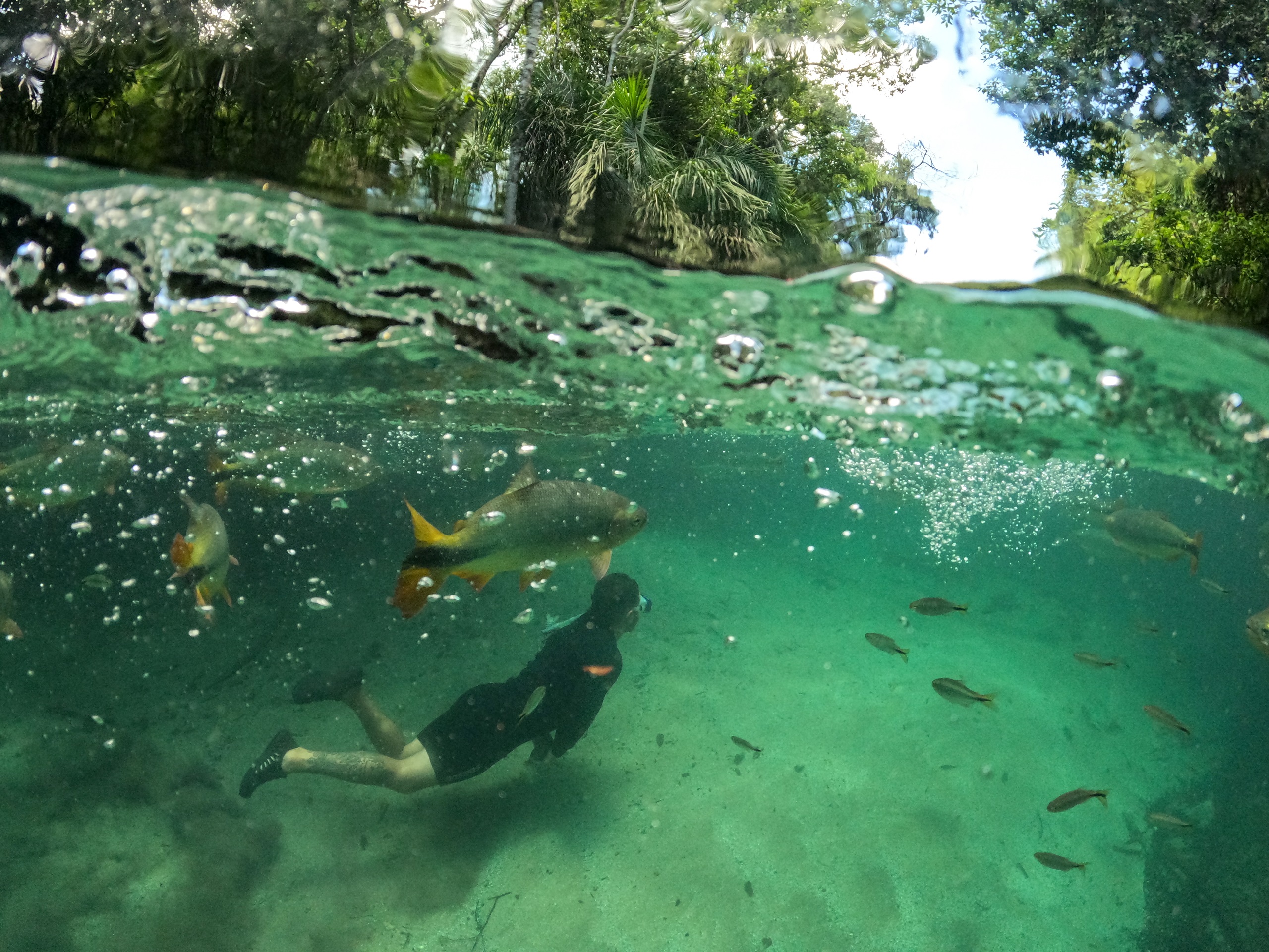 DCIM100GOPROGOPR5134.JPG