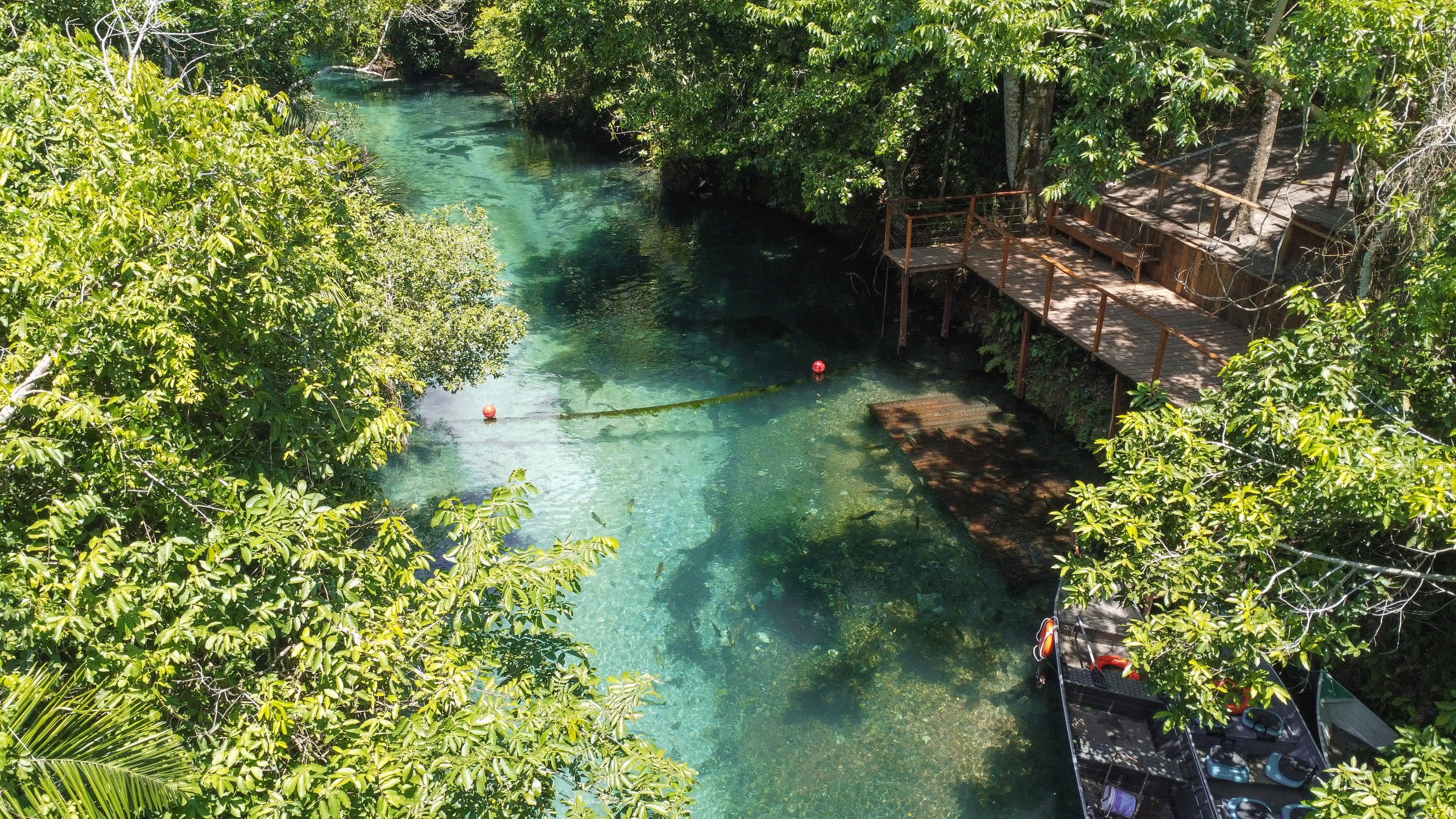 DCIM100MEDIADJI_0389.JPG